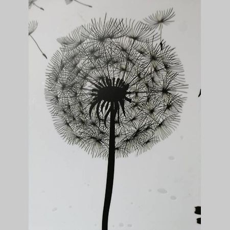 Ferienwohnung Pusteblume Mueddersheim Vettweiss Eksteriør billede