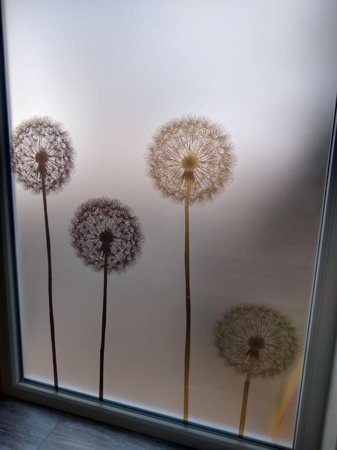 Ferienwohnung Pusteblume Mueddersheim Vettweiss Eksteriør billede
